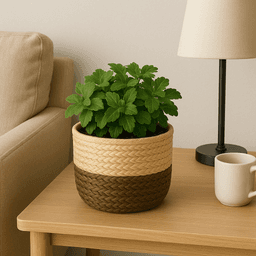 Handwoven Raffia Plant Pots – Natural & Sustainable Planters in Beige & Natural Brown thumbnail 2